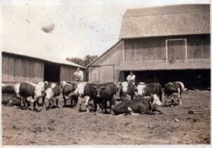 Roy and Murlyn Wilson stand with cows on the family farm on C.R. 800E near Mongo in the 1930s. At left, Murlyn is shown as a U.S. Army private and a star Indiana University runner. (Photos Contributed)