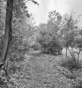 Photo of an area at Trine University where a new 3.5-mile trail will run next spring. The trail will be open to commu- nity members as well as university students and employees. (Photo Contributed)