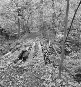 Photo of a bridge on the trail where renovations will be made next spring. The trail will be open to the community as well as the those involved at Trine University. (Photo Contributed)