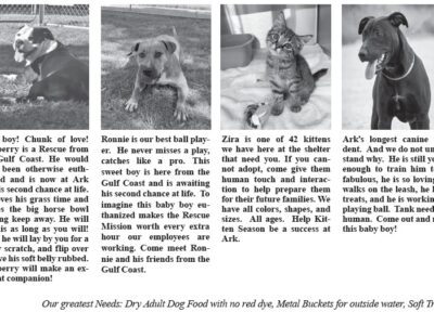 The Ark Animal Rescue and Adoption